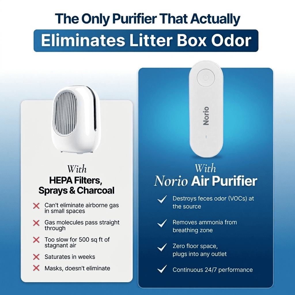 Norio™ Air Purifier